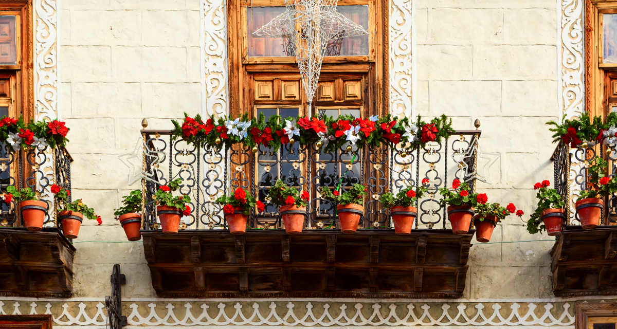 Décorer balcon avec des plantes et des fleurs